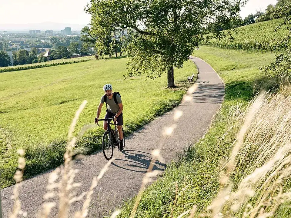 JobRadler auf Fahrradweg im Grünen am Schlierberg